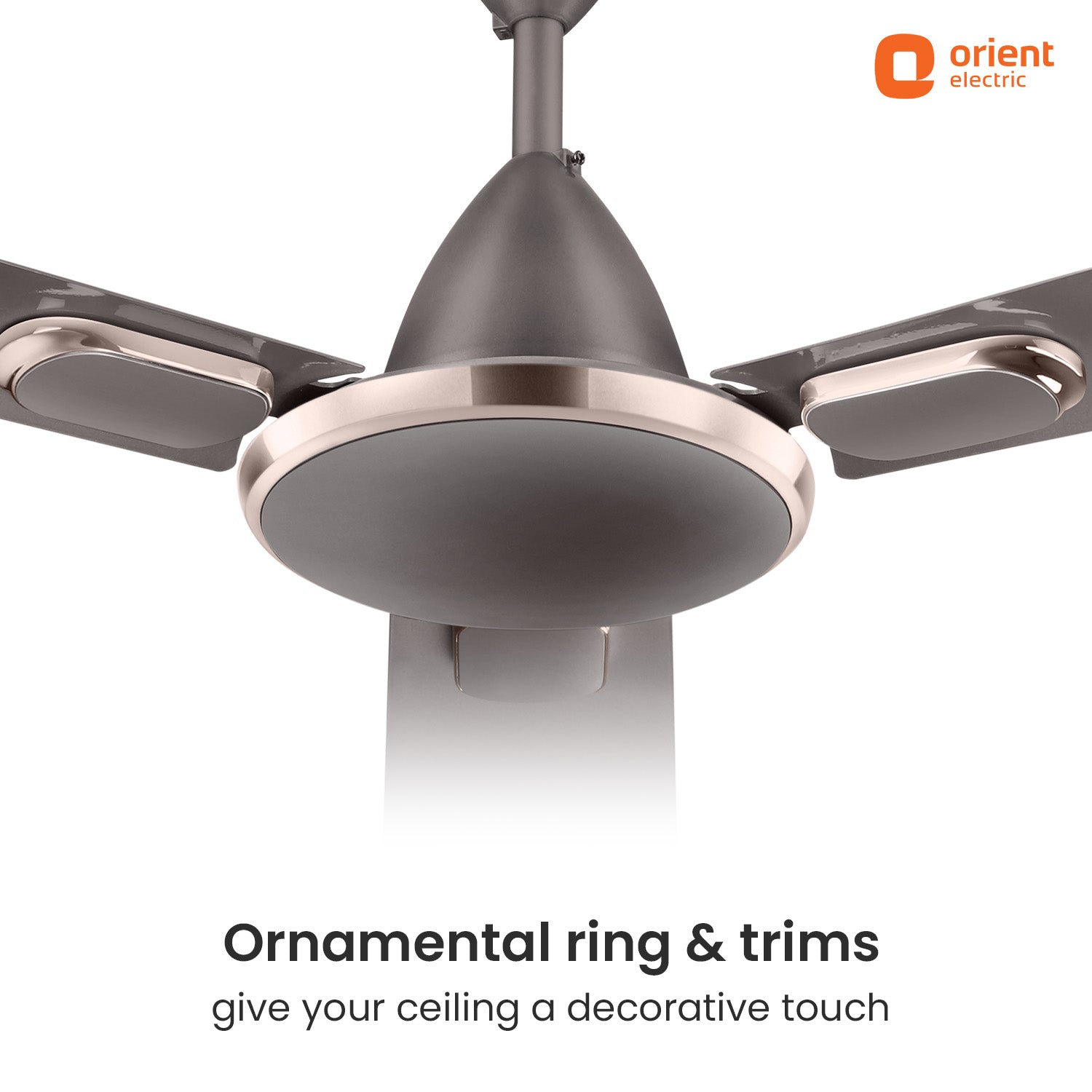 Blanco Decorative Ceiling Fan | 2-Year Warranty