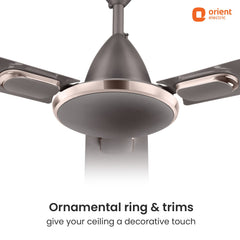 Blanco Decorative Ceiling Fan | 2-Year Warranty