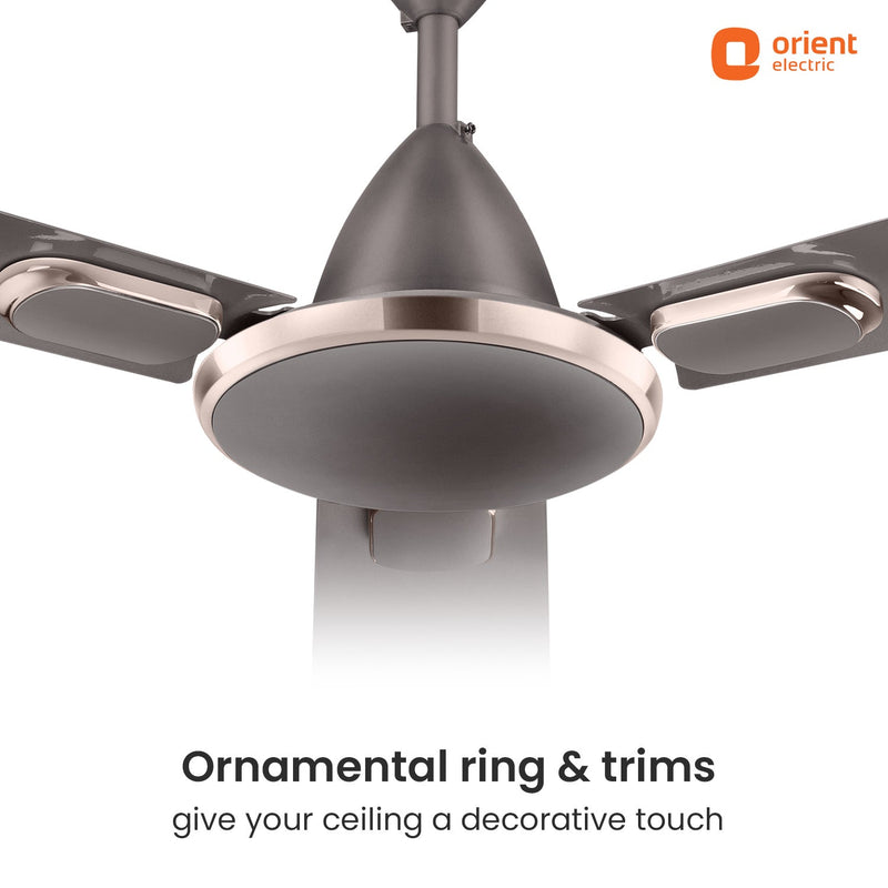 Blanco Decorative Ceiling Fan | 2-Year Warranty