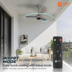 Aeon Antidust BLDC Ceiling Fan |  5-YEAR WARRANTY