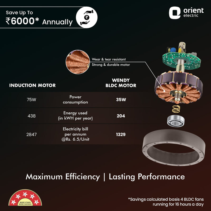 Wendy BLDC Remote Ceiling Fan | 3-Year Warranty