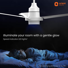 I Tome Pro BLDC Ceiling Fan