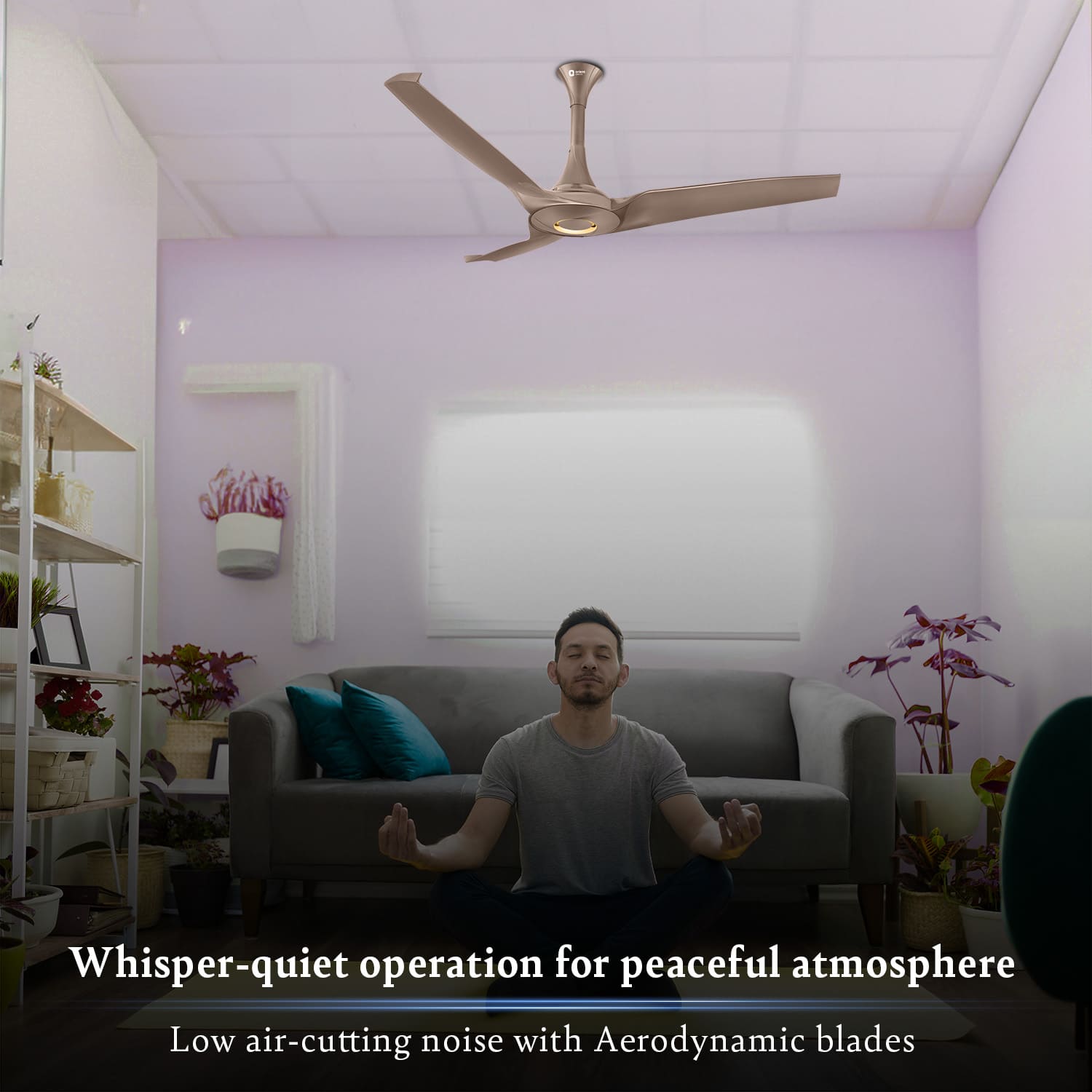 Aerostorm Premium Ceiling Fan | 2-year Warranty