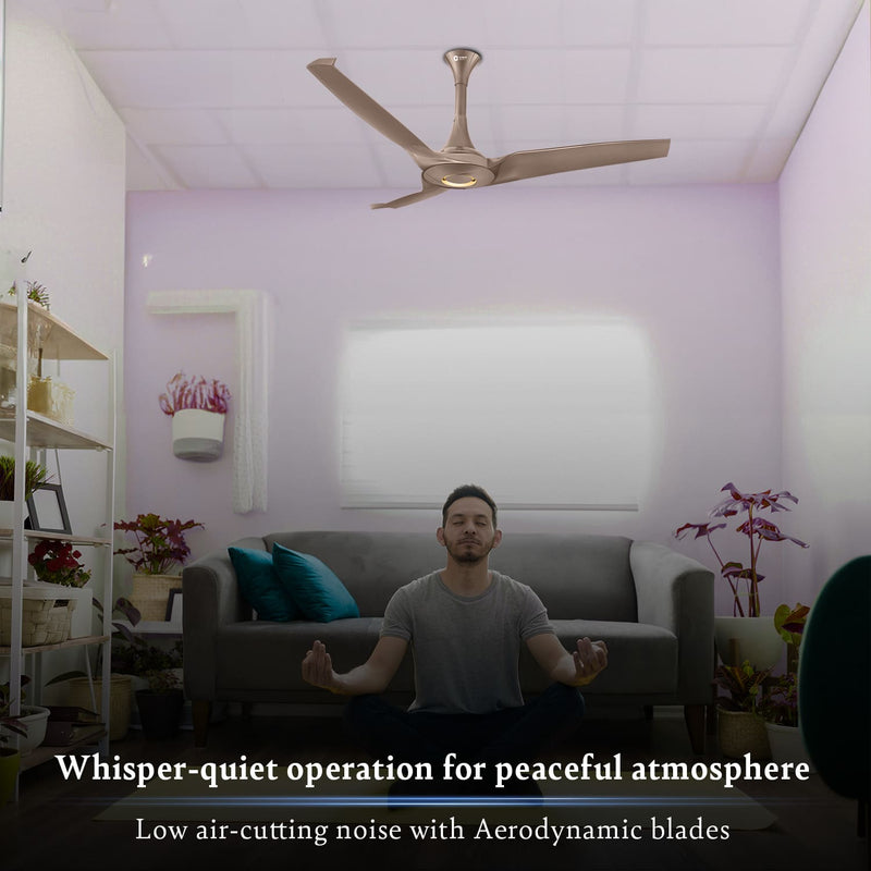 Aerostorm Premium Ceiling Fan | 2-year Warranty