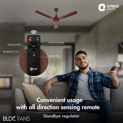 I-Falcon Deco BLDC Ceiling Fan