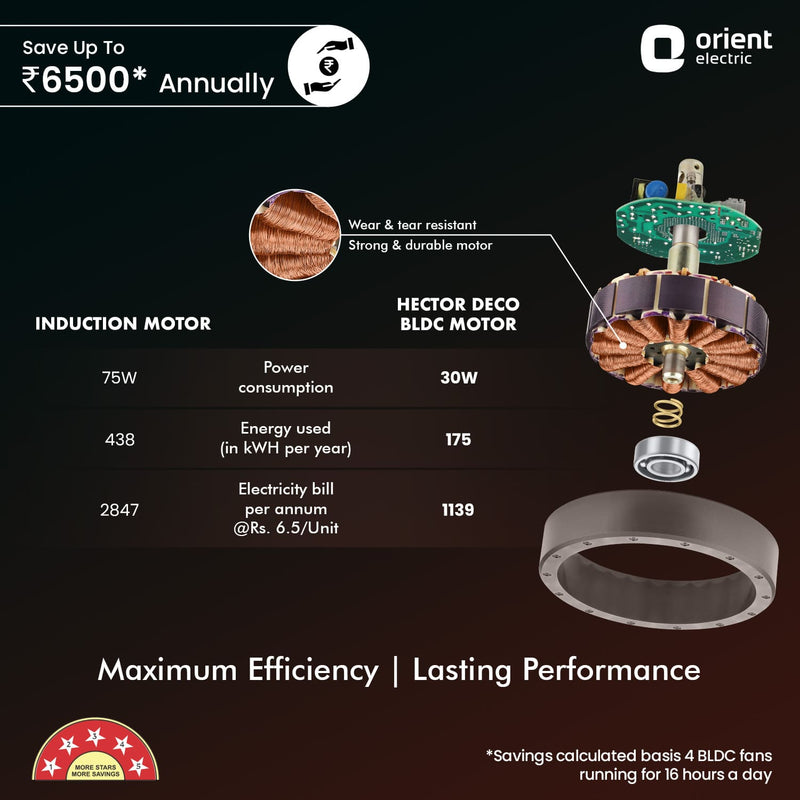 Hector Deco BLDC Ceiling Fan with Remote