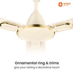Blanco Decorative Ceiling Fan | 2-Year Warranty