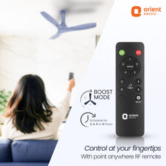 Aerosleek 5 Star Rated Premium BLDC Fan with Remote