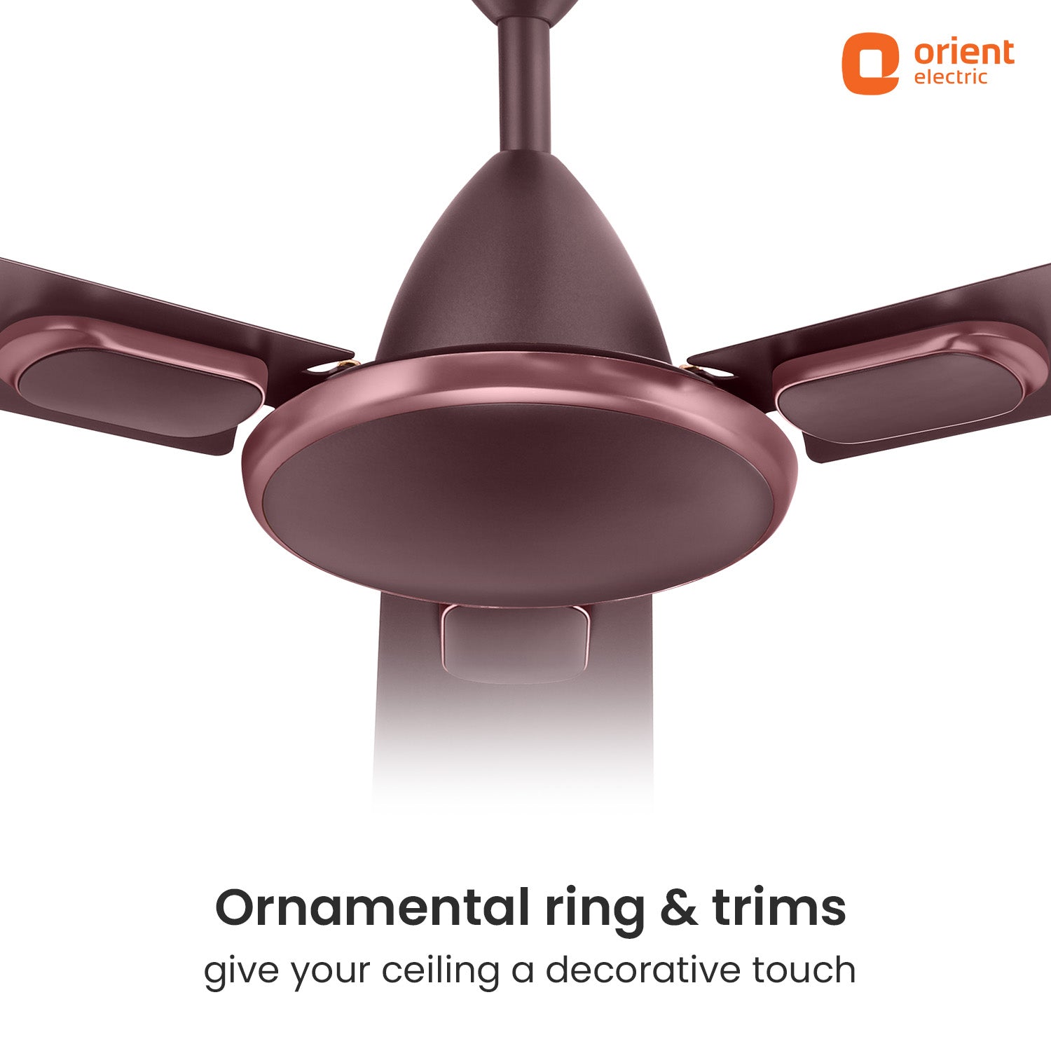 Blanco Decorative Ceiling Fan | 2-Year Warranty