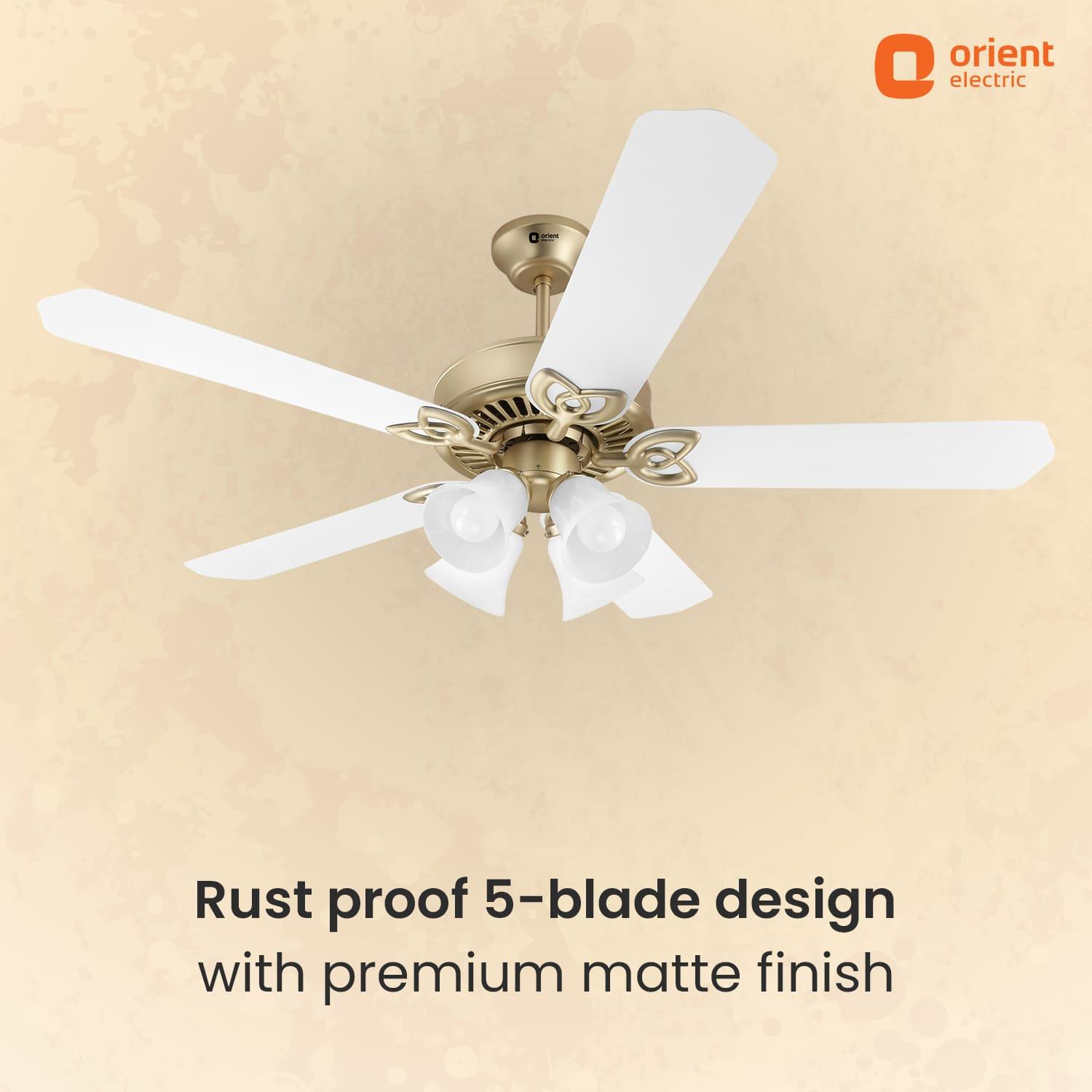 Subaris Underlight Premium Ceiling Fan with Remote | 2-year Warranty