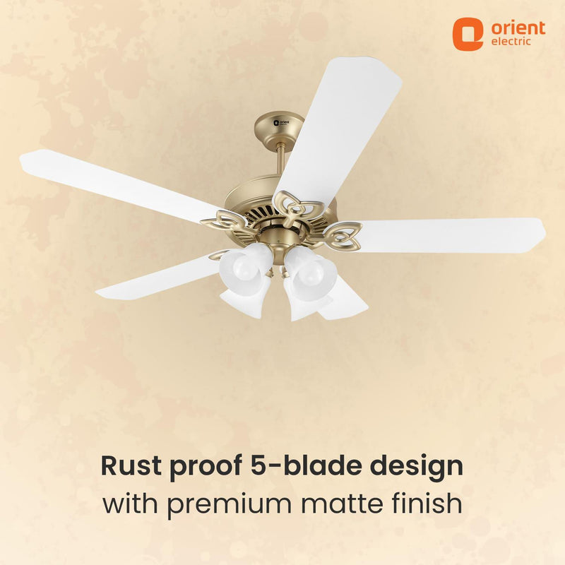 Subaris Underlight Premium Ceiling Fan with Remote | 2-year Warranty