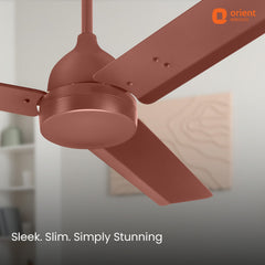 Ecotech Neu BLDC 5 Star Ceiling Fan | 3-Year Warranty