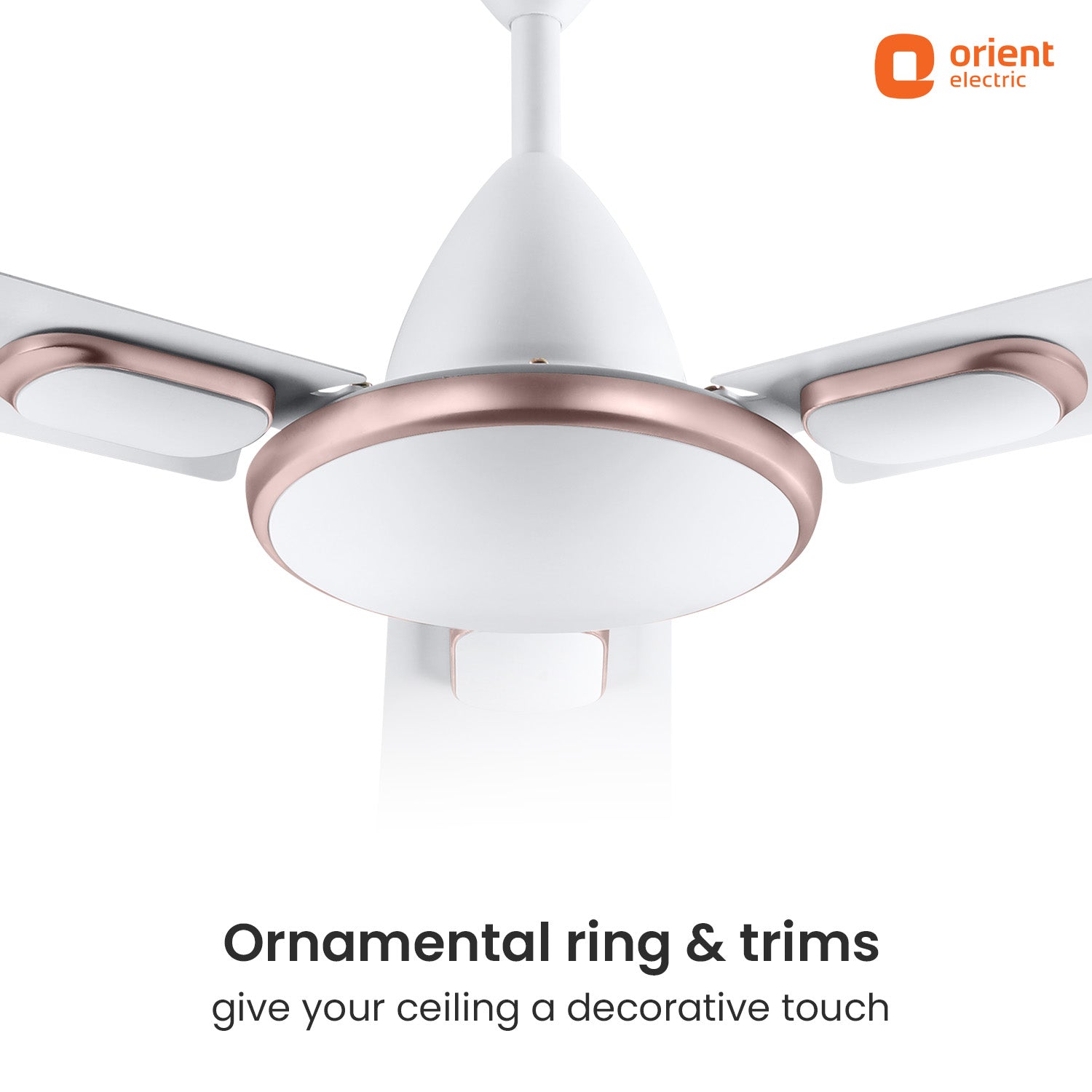 Blanco Decorative Ceiling Fan | 2-Year Warranty