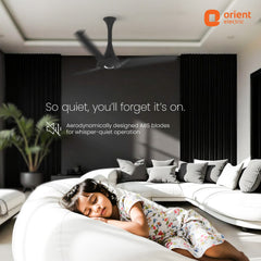 Aerostorm Premium Ceiling Fan | 2-year Warranty