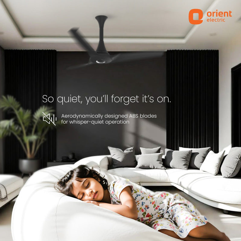 Aerostorm Premium Ceiling Fan | 2-year Warranty