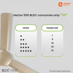 Hector 500 BLDC Ceiling Fan | 3 Year Warranty