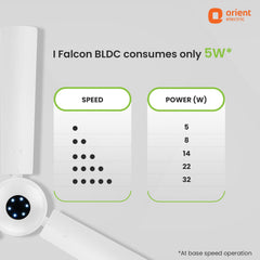 I-Falcon BLDC Ceiling Fan With Light & Remote