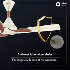 Wendy Stylish Ceiling Fan | 2-Year Warranty