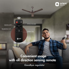 Hector Deco BLDC Ceiling Fan with Remote