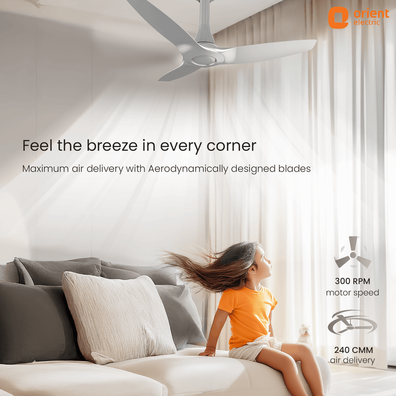 Aeroquiet Neu BLDC Pro Ceiling Fan | Whisper Quiet | Remote Controlled