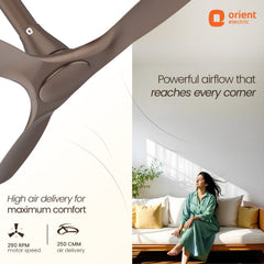 Aerosleek 5 Star Rated Premium BLDC Fan with Remote