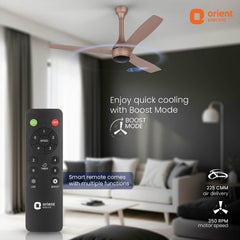 AEON VC Smart BLDC Pro Ceiling Fan | IoT Enabled | 5-Year Warranty