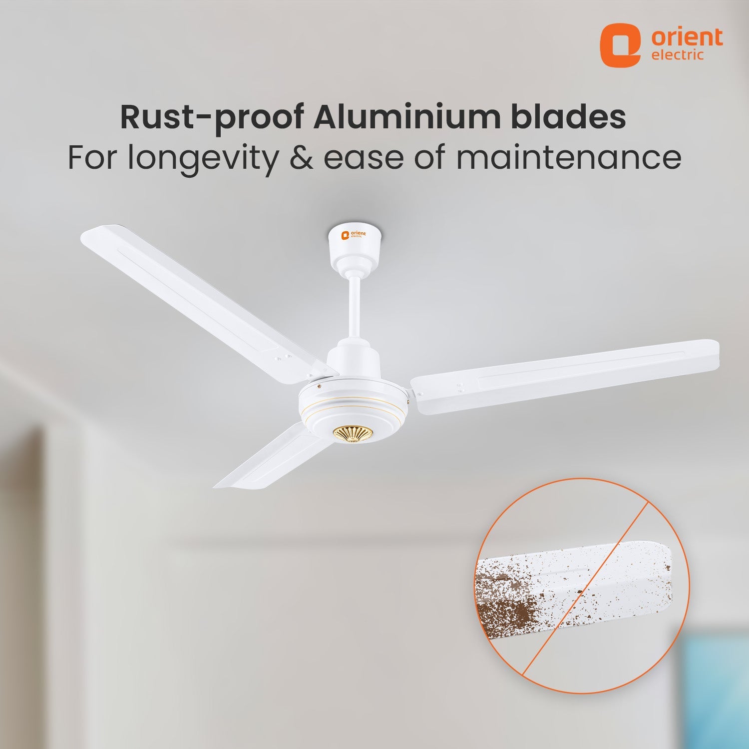 Summercool Ceiling Fan | 5-Year Warranty
