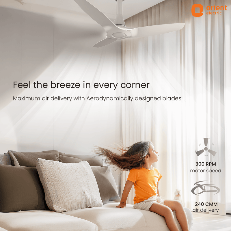 Aeroquiet Neu BLDC Pro Ceiling Fan | Whisper Quiet | Remote Controlled