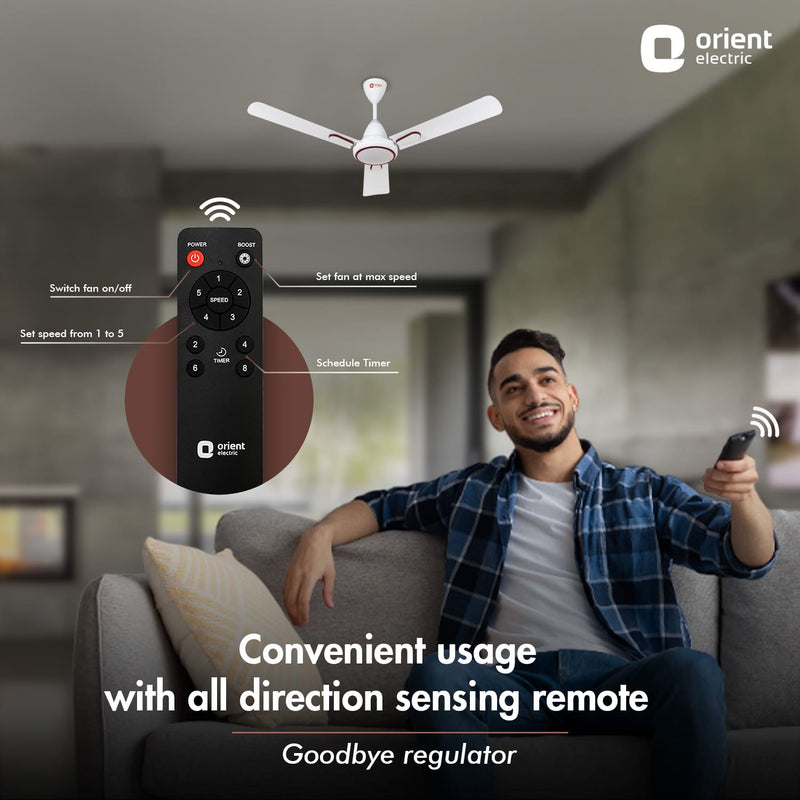 Hector Deco BLDC Ceiling Fan with Remote