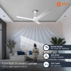 Ecotech Neu BLDC 5 Star Ceiling Fan | 3-Year Warranty