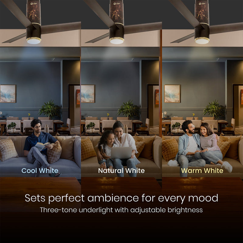 Aeroslim IoT Remote Fan with Light | 5-Year Warranty