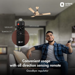 Wendy BLDC Remote Ceiling Fan | 3-Year Warranty