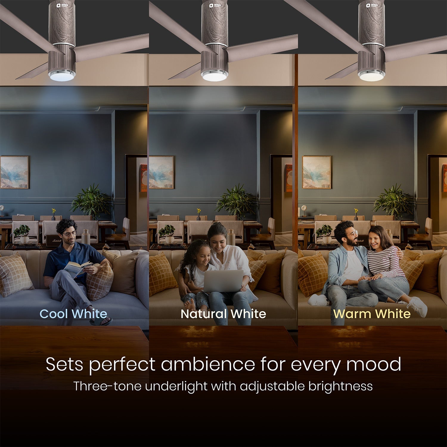 Aeroslim IoT Remote Fan with Light | 5-Year Warranty