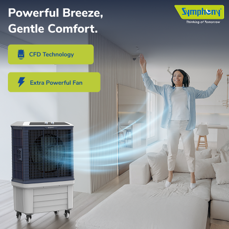 Bouncer 175 Desert Air Cooler
