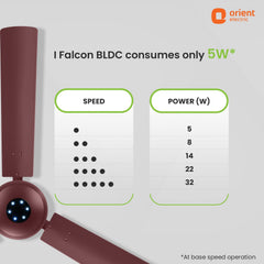 I-Falcon BLDC Ceiling Fan With Light & Remote