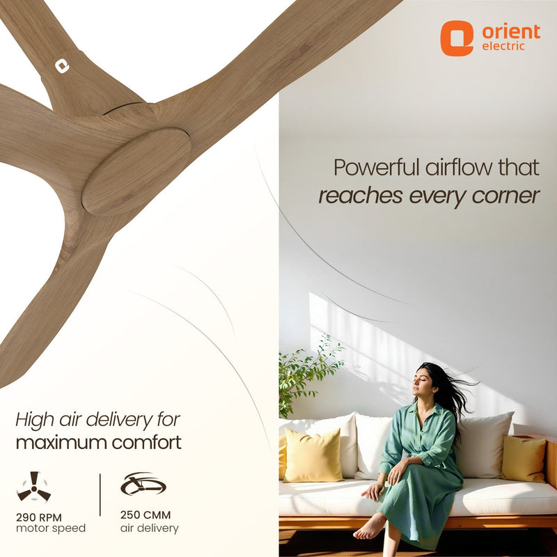 Aerosleek 5 Star Rated Premium BLDC Fan with Remote