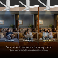 Aeroslim IoT Remote Fan with Light | 5-Year Warranty