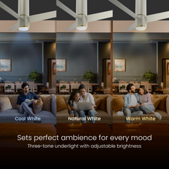 Aeroslim IoT Remote Fan with Light | 5-Year Warranty