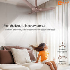 Aeroquiet Neu Noiseless Ceiling Fan