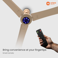 I Tome Pro BLDC Ceiling Fan