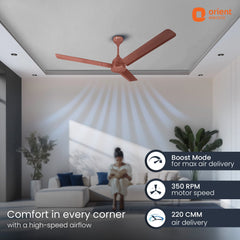 Ecotech Neu BLDC 5 Star Ceiling Fan | 3-Year Warranty