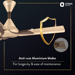 Wendy Stylish Ceiling Fan | 2-Year Warranty