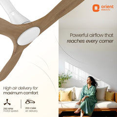 Aerosleek 5 Star Rated Premium BLDC Fan with Remote