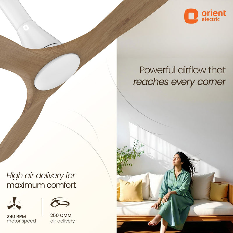 Aerosleek 5 Star Rated Premium BLDC Fan with Remote