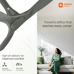 Aerosleek 5 Star Rated Premium BLDC Fan with Remote
