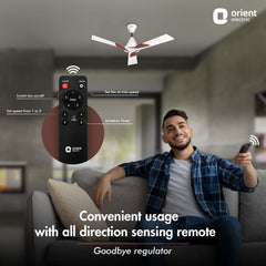 Wendy BLDC Remote Ceiling Fan | 3-Year Warranty