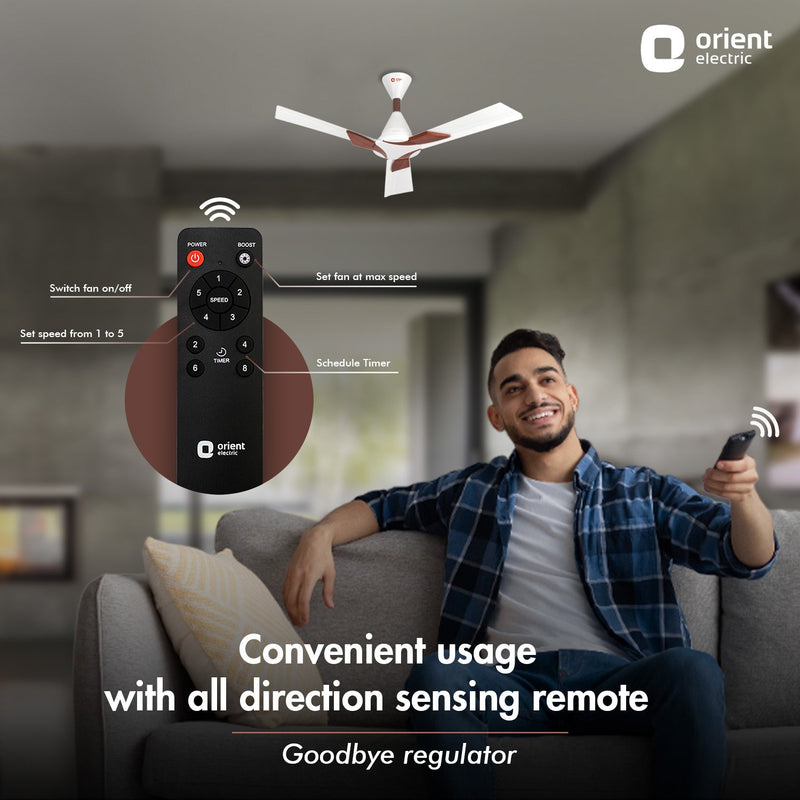 Wendy BLDC Remote Ceiling Fan | 3-Year Warranty