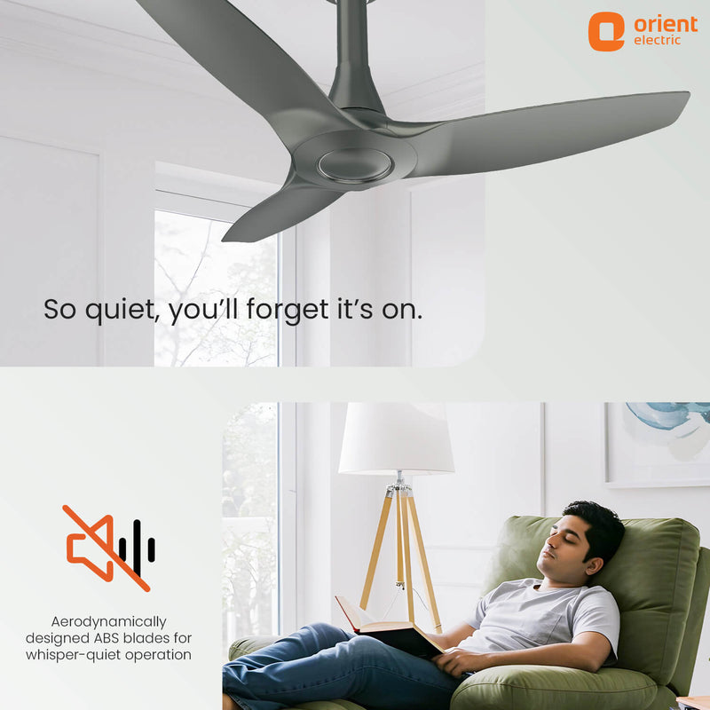 Aeroquiet Neu BLDC Pro Ceiling Fan | Whisper Quiet | Remote Controlled