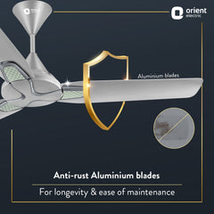 Jazz Art 1200 mm Decorative Ceiling Fan | 2-Year Warranty