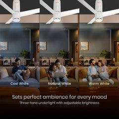 Aeroslim IoT Remote Fan with Light | 5-Year Warranty